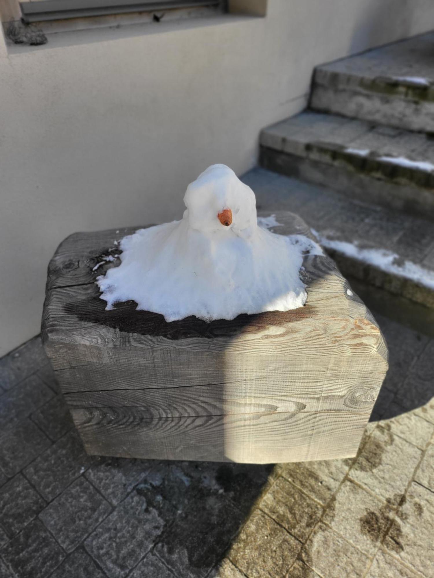 Apartment In Cima Contrada Pieve di Cadore