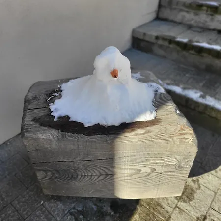 In Cima Alla Contrada Pieve di Cadore Exterior foto